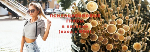 MDMA Premium VHQ Абаза