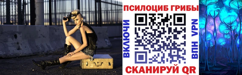 купить   Ряжск  Псилоцибиновые грибы MAGIC MUSHROOMS 
